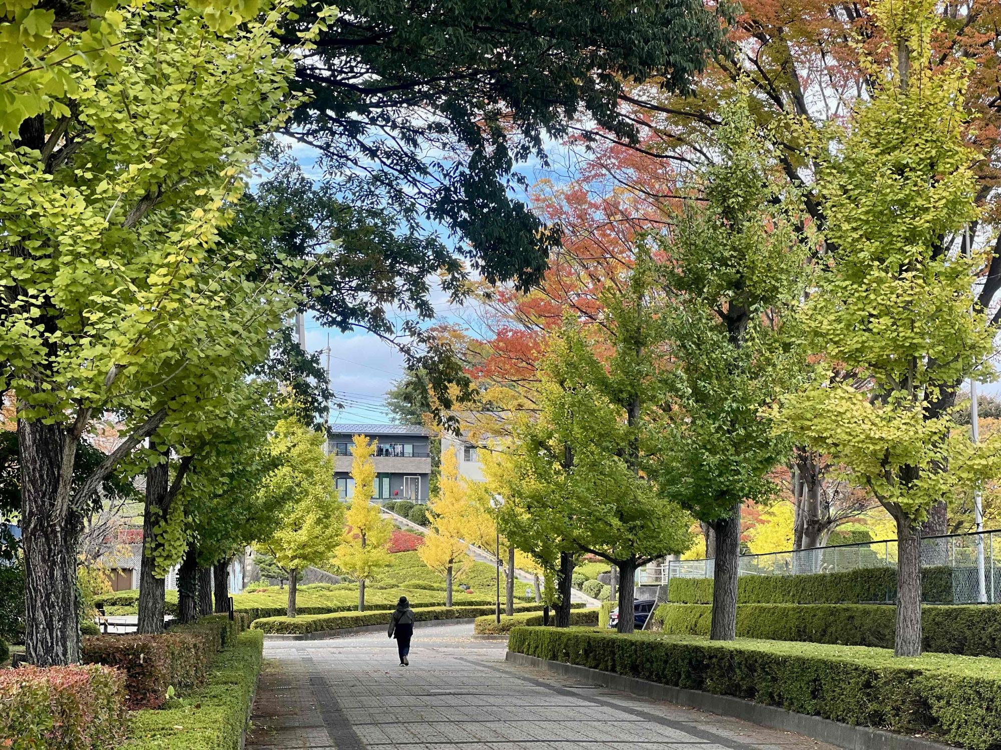251106韮崎中央公園