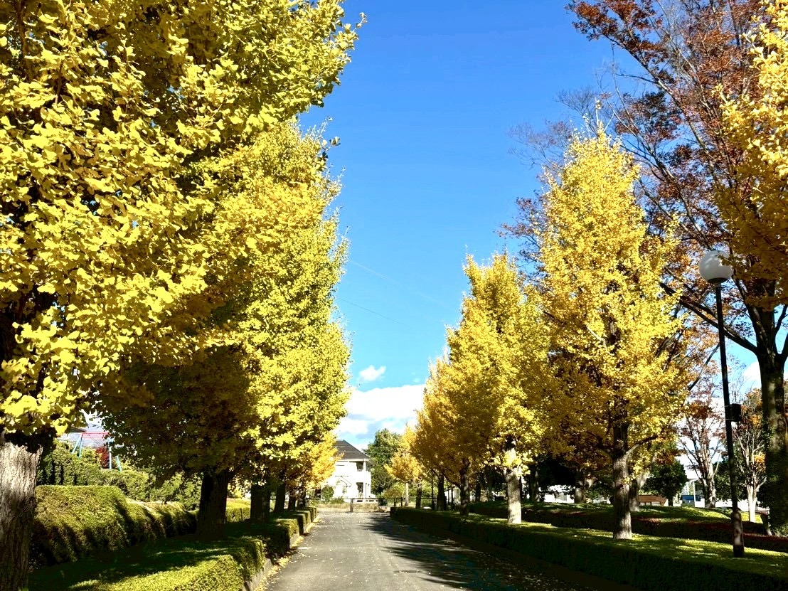 251112韮崎中央公園
