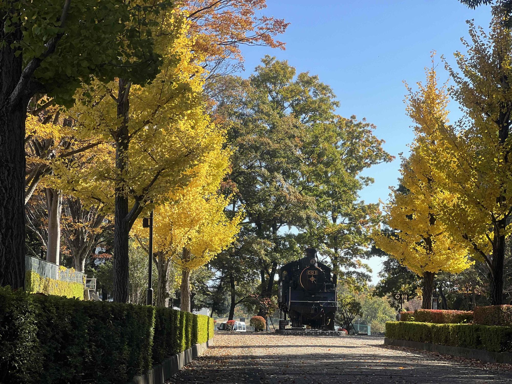 251114韮崎中央公園