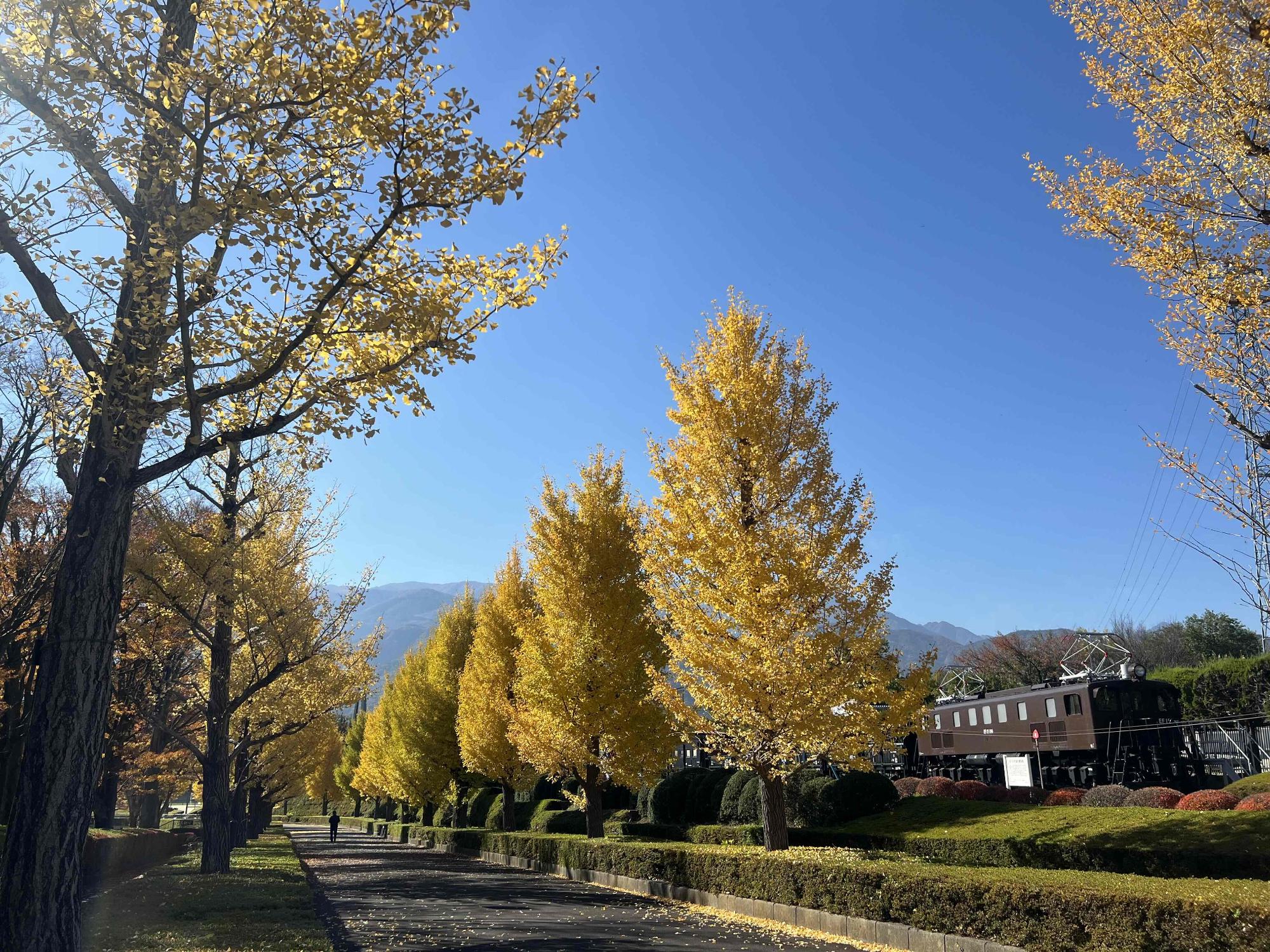 251114韮崎中央公園