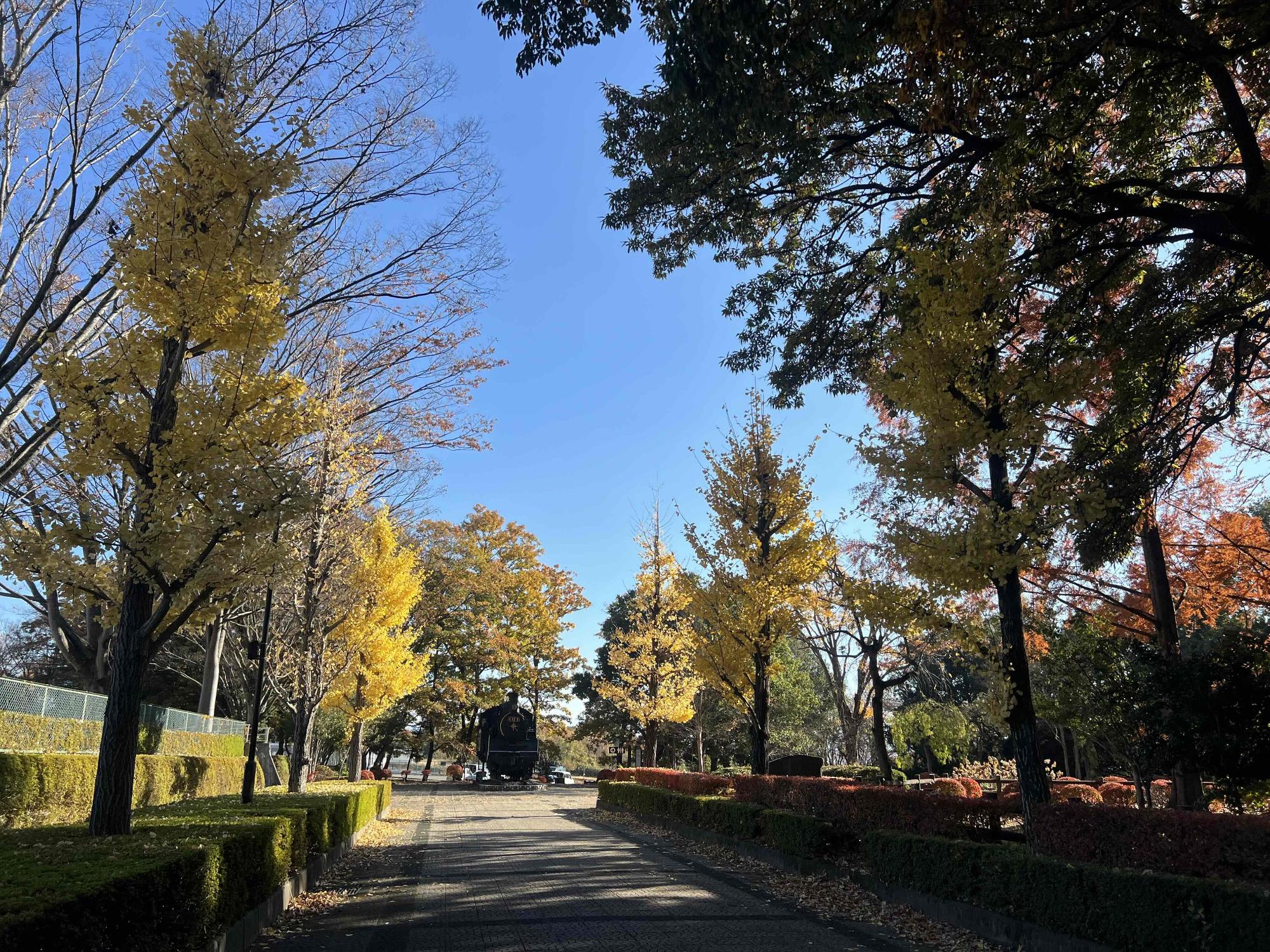 251120韮崎中央公園