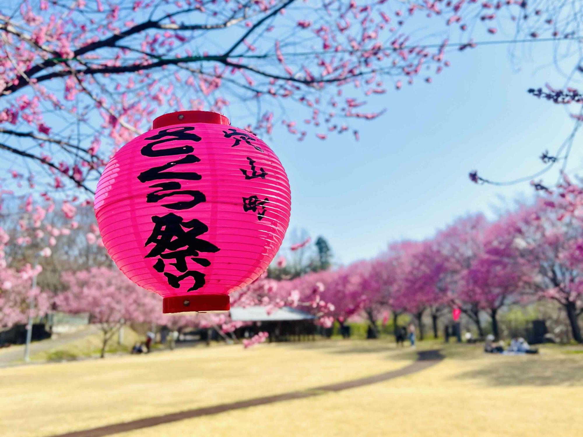 260321穴山さくら公園