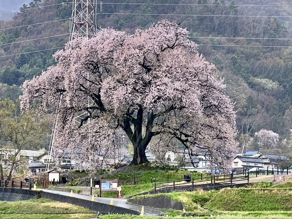 独自の世界観が滲み出るパワリザ【多情報を美しきデザインにまで昇華/新品】バックスケルトン スモールセコンド パールホワイト文字盤/黒革 NOT A HOTEL DESIGN COMPETITION 2024」の最優秀賞作品が決定 – ADF