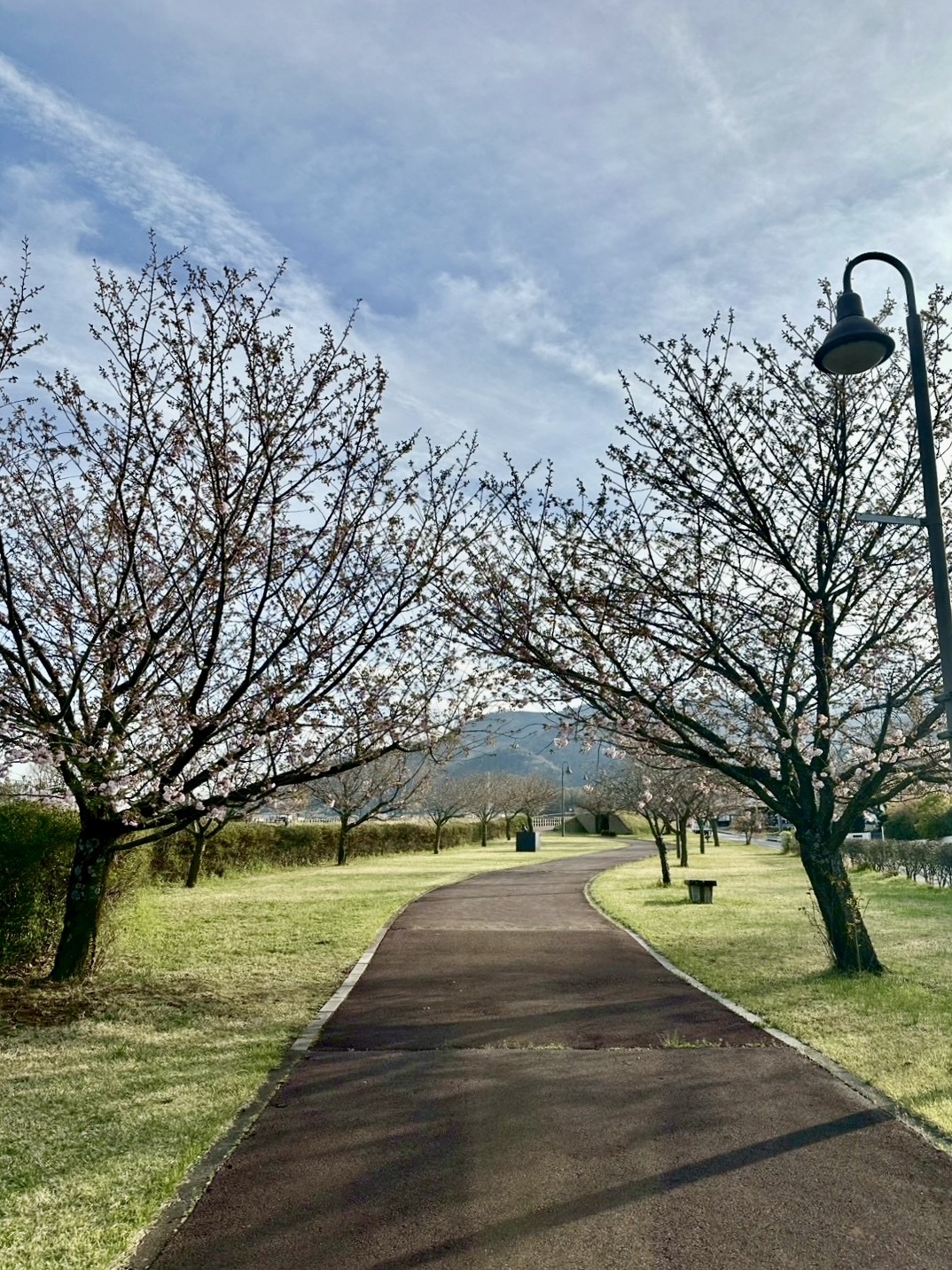 260403幸福の小径