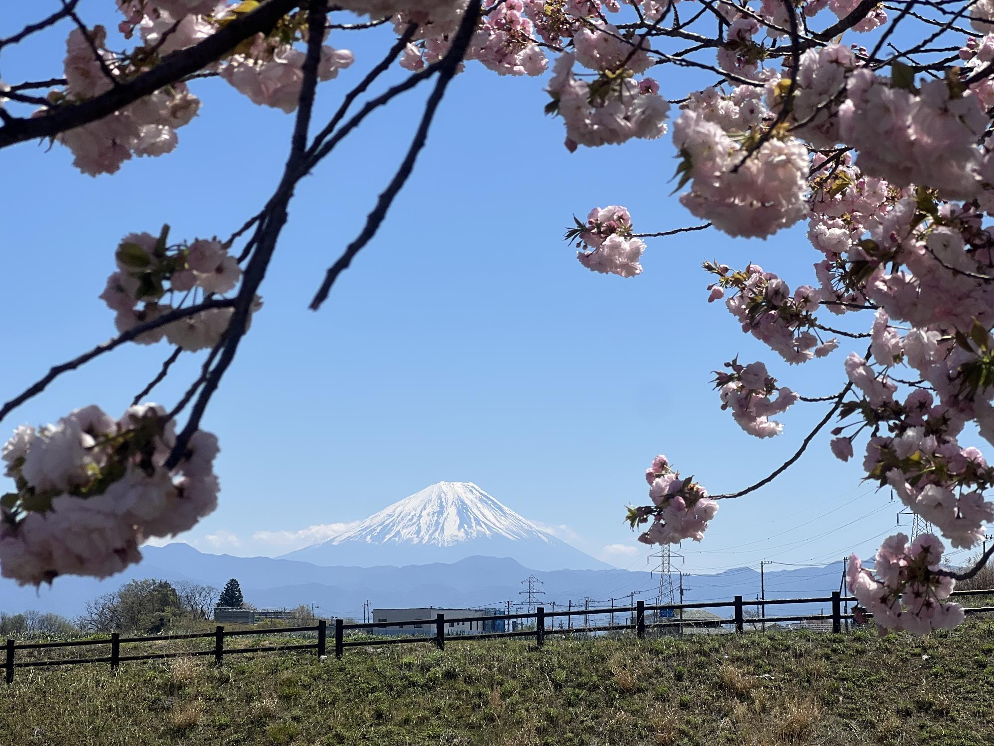 260414幸福の小径