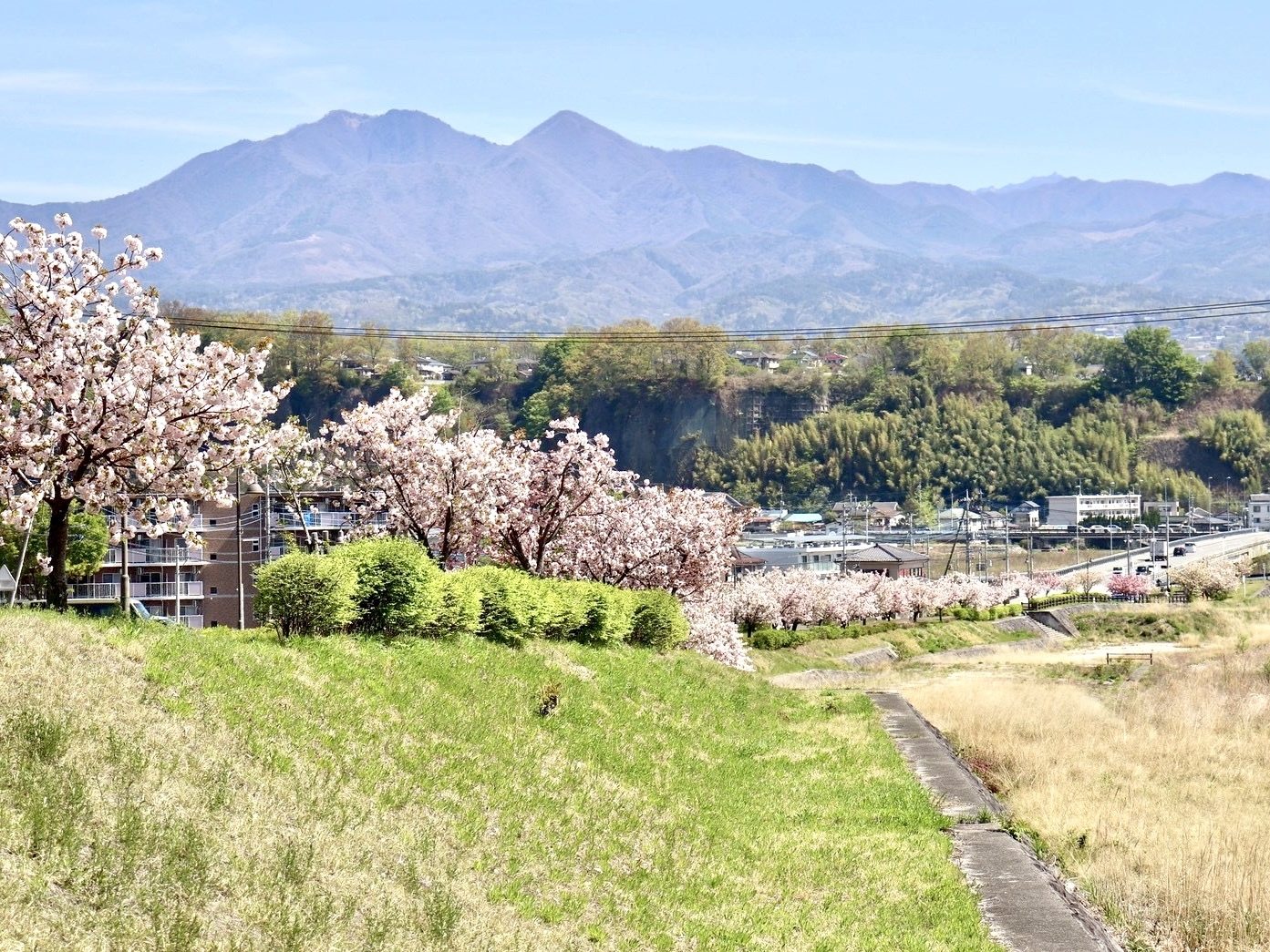 260414幸福の小径