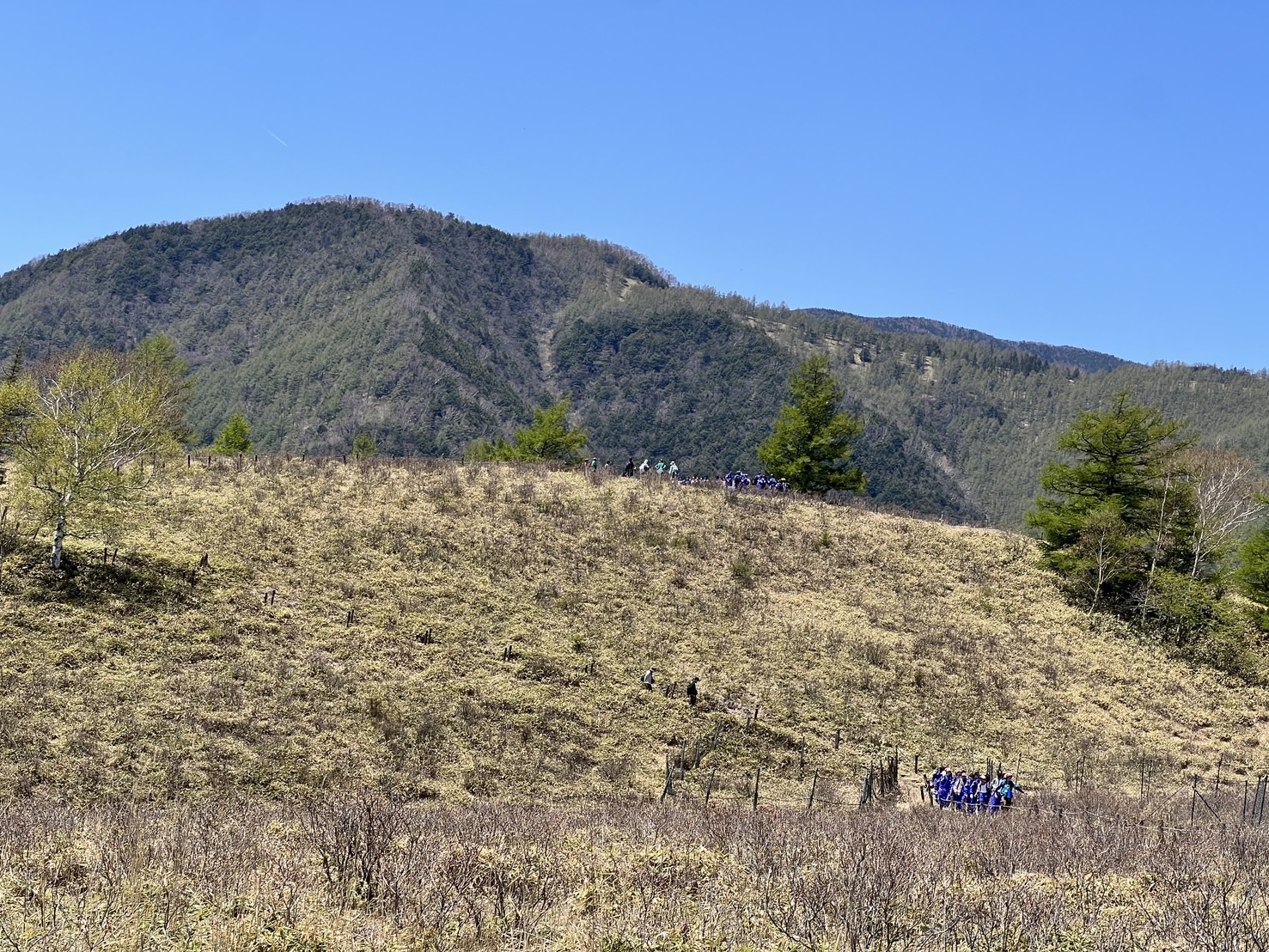 260515甘利山