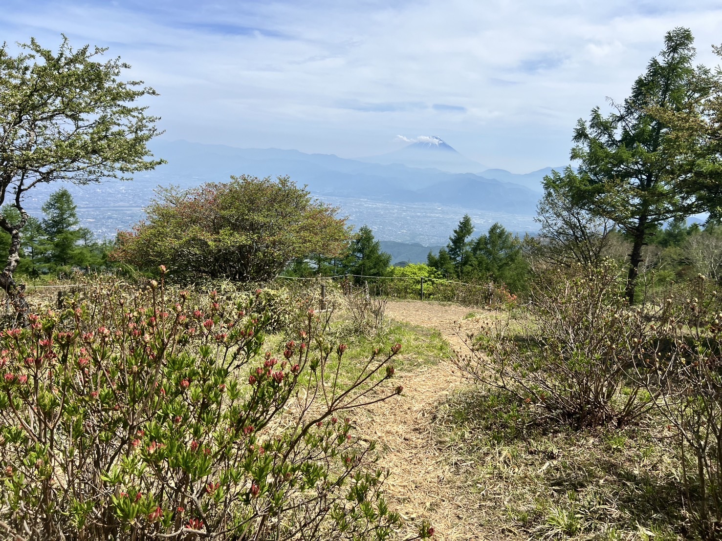 260519甘利山