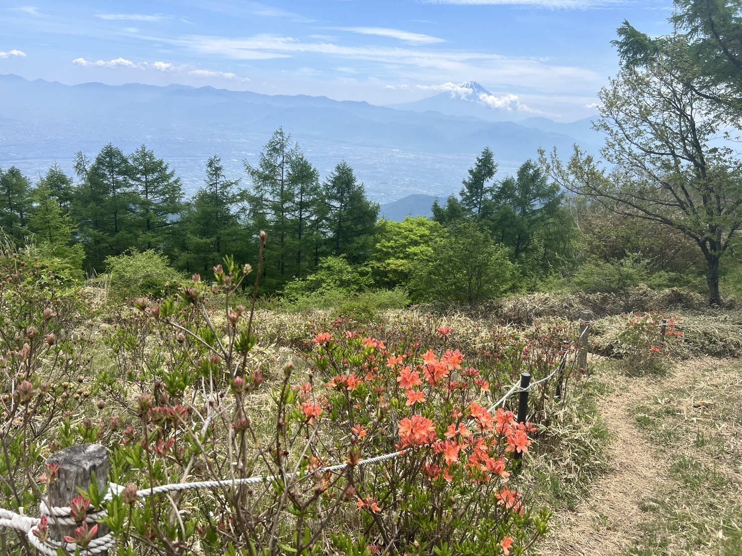 260520甘利山