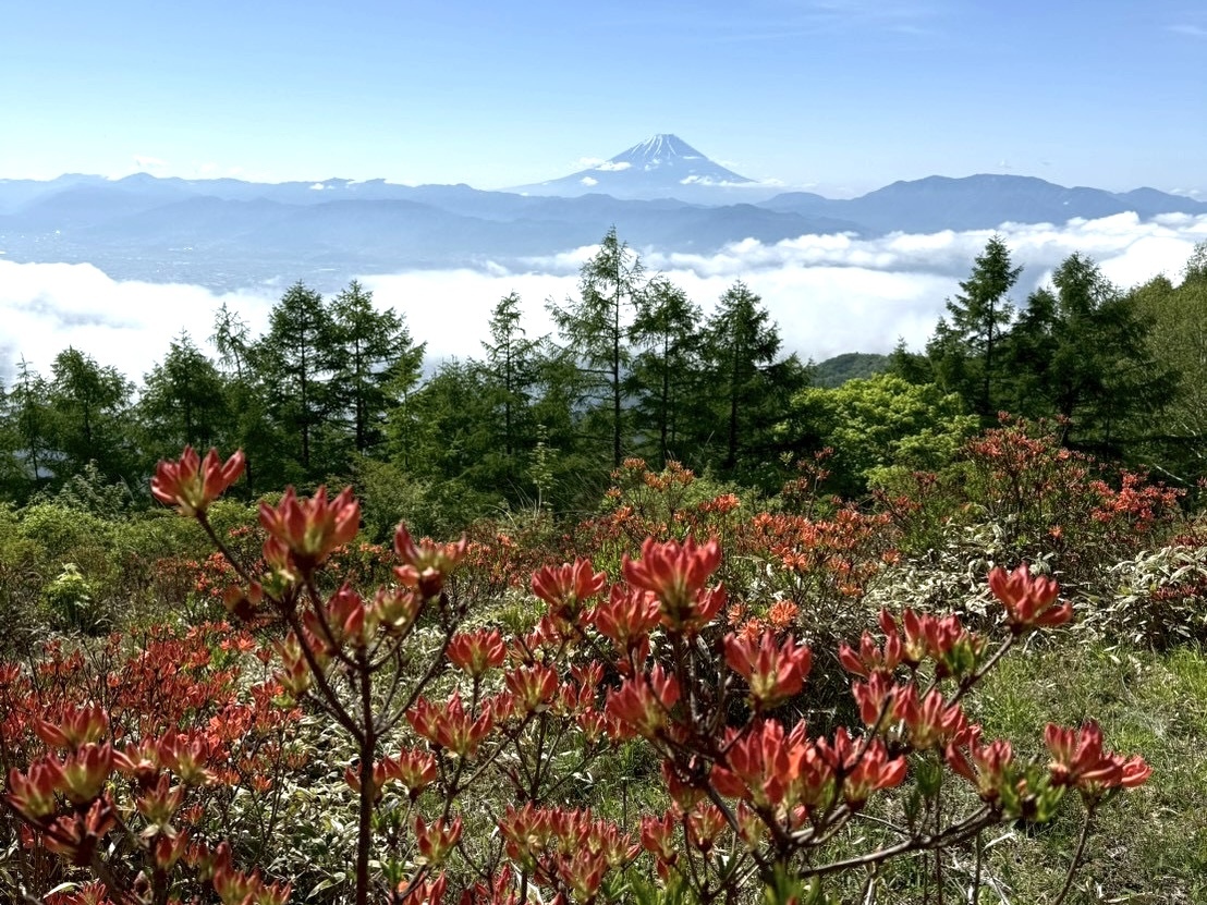 260525甘利山