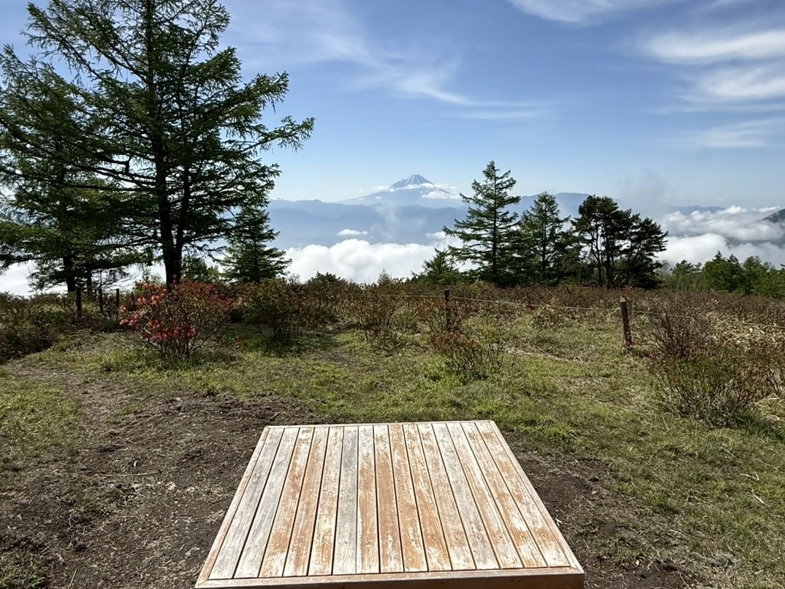 260525甘利山