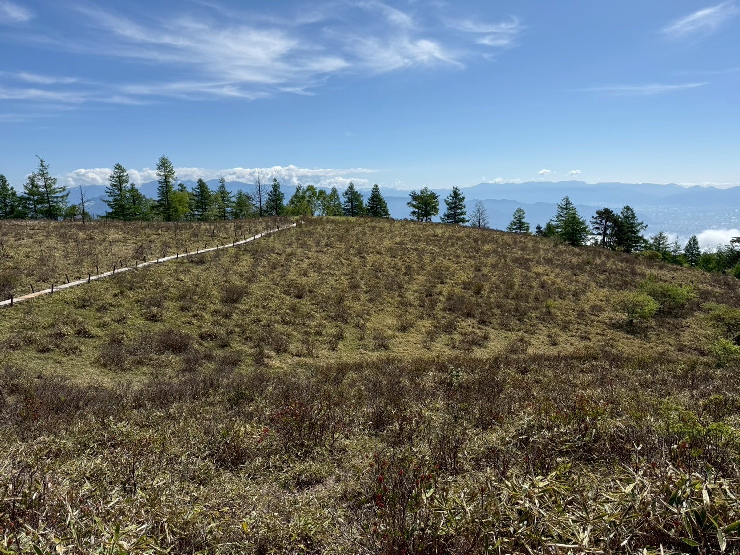 260525甘利山