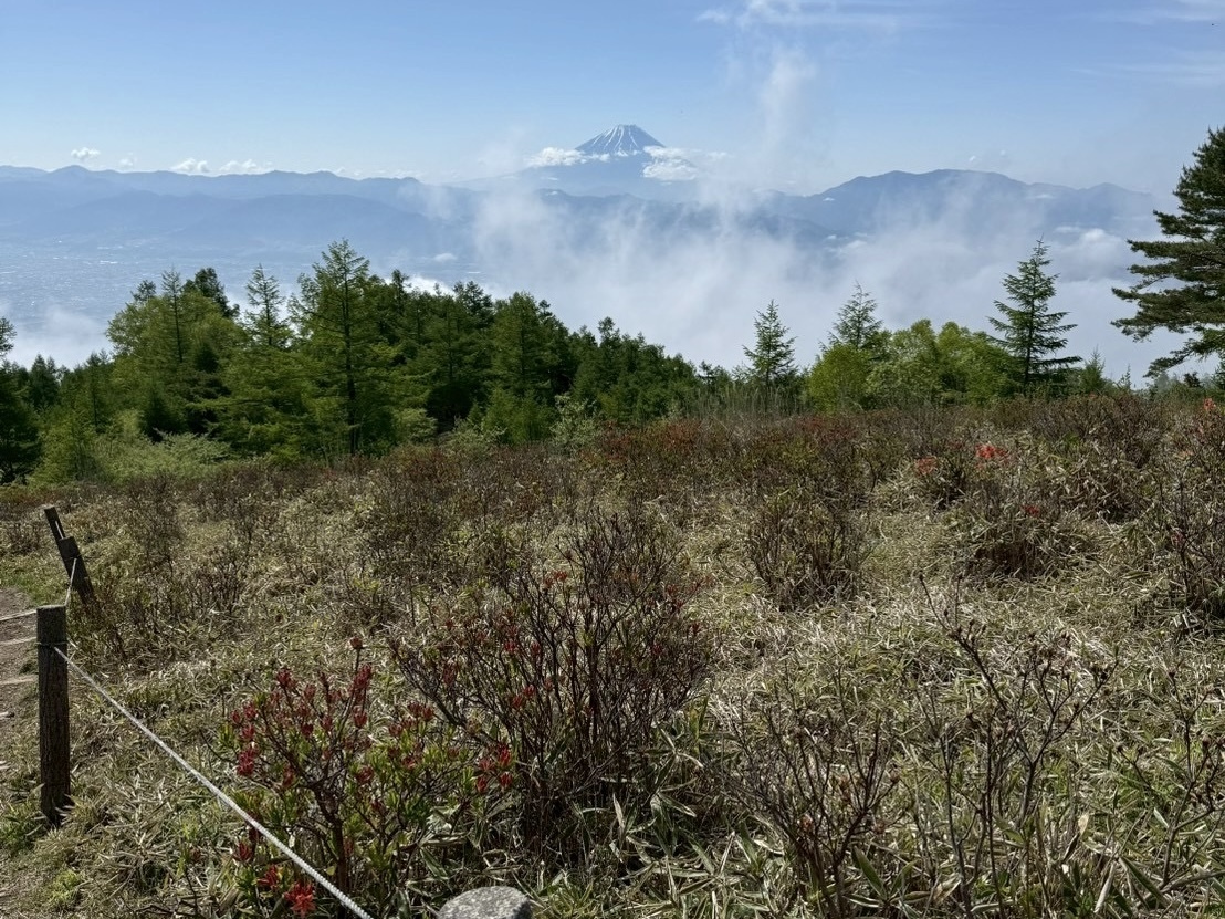 260525甘利山