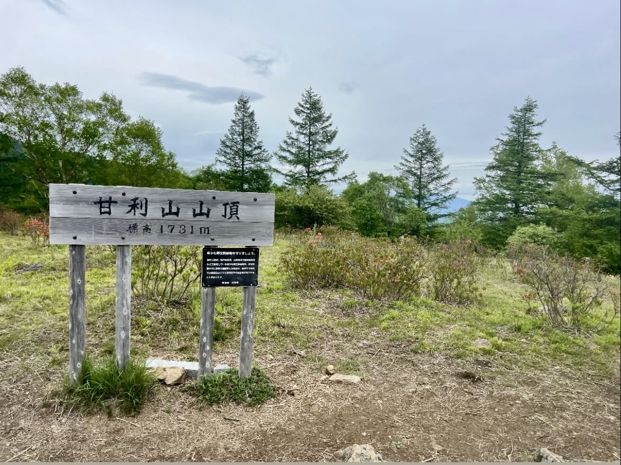 260527甘利山