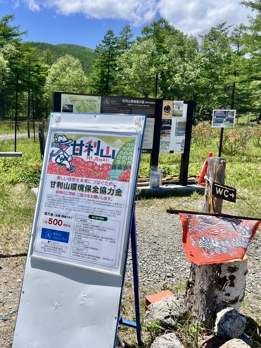 260529甘利山