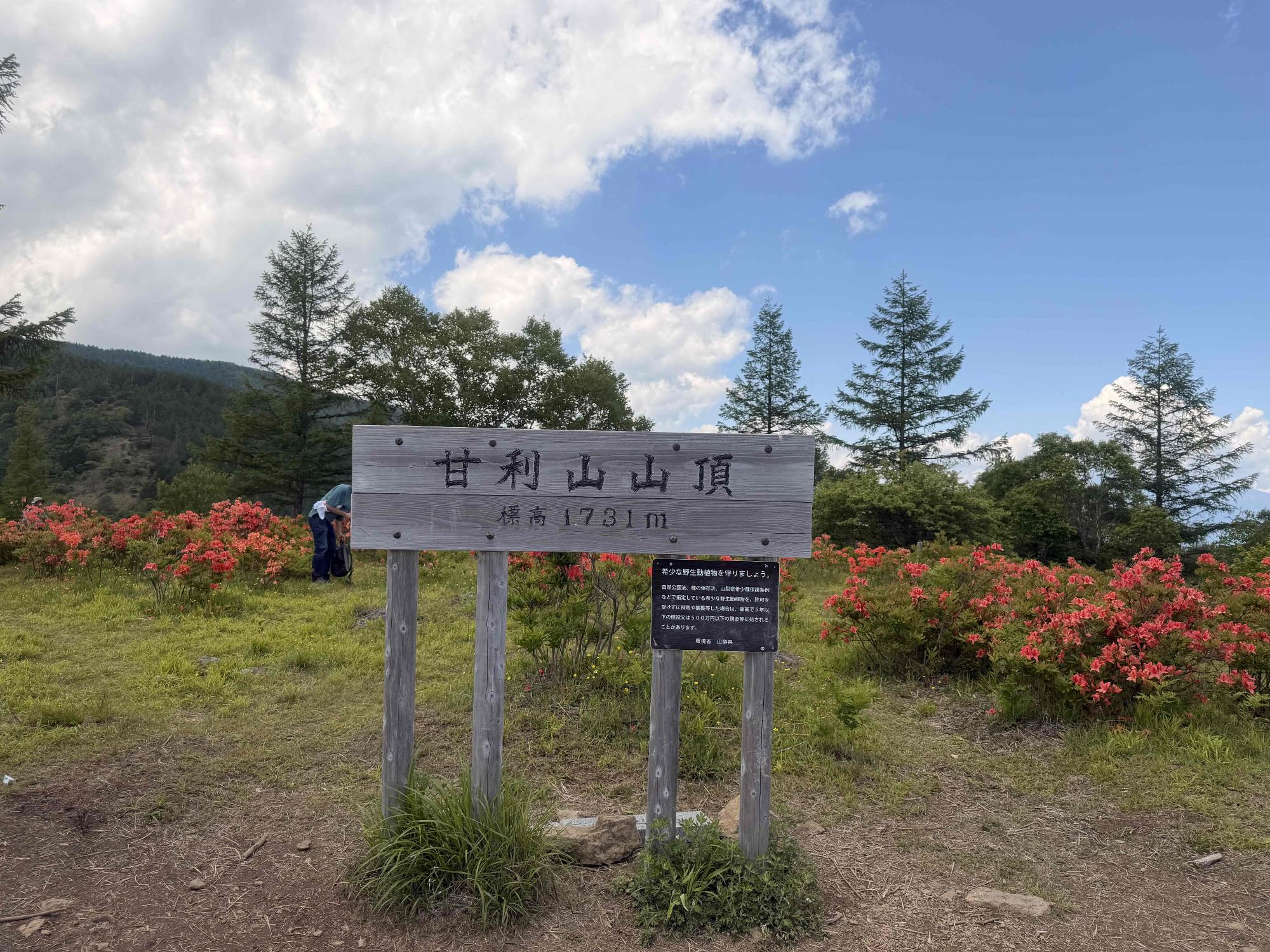 260613甘利山
