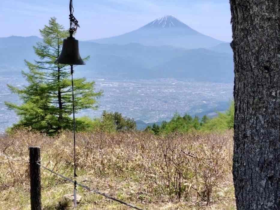 240518甘利山レンゲツツジ