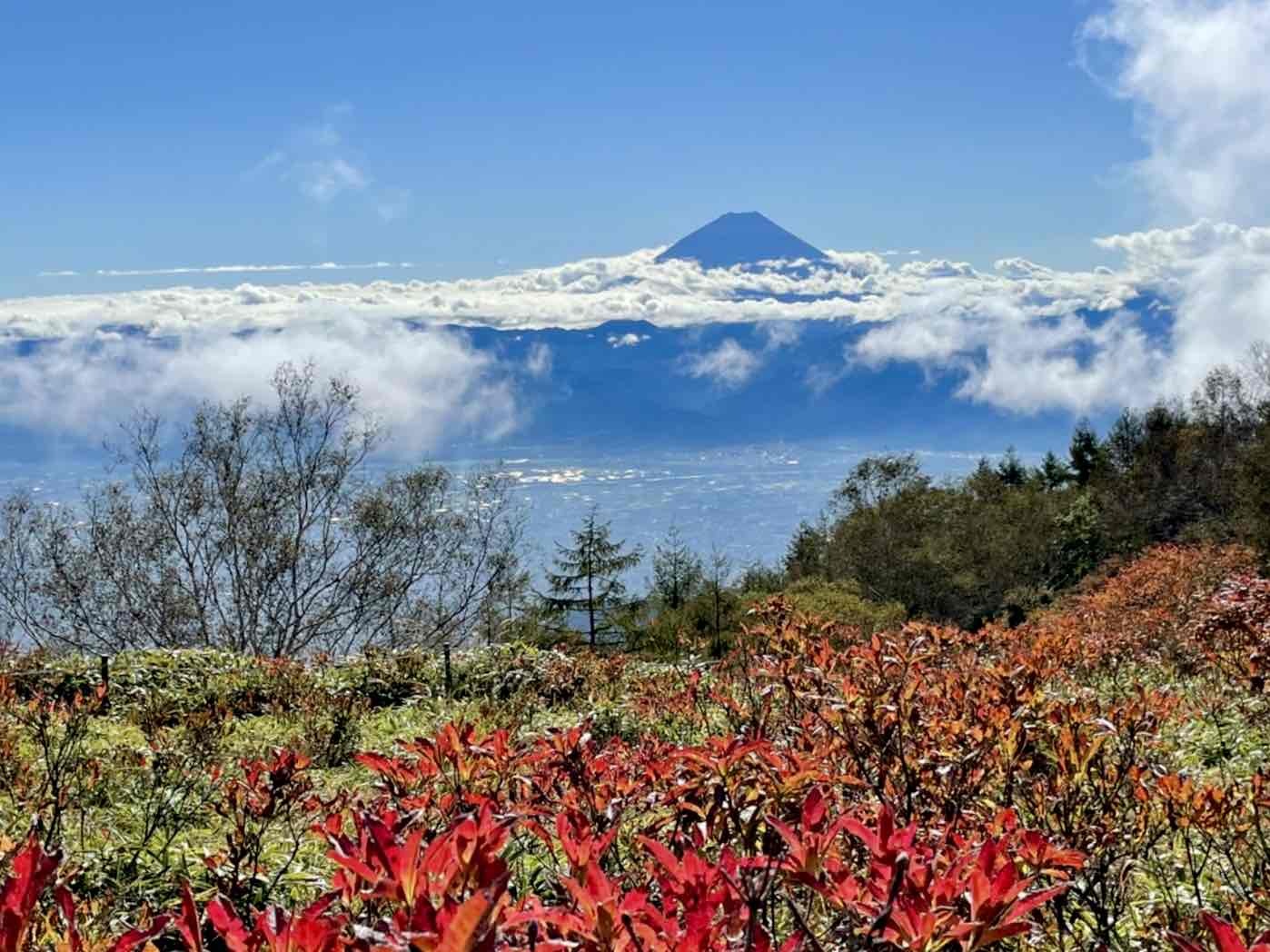 甘利山の紅葉