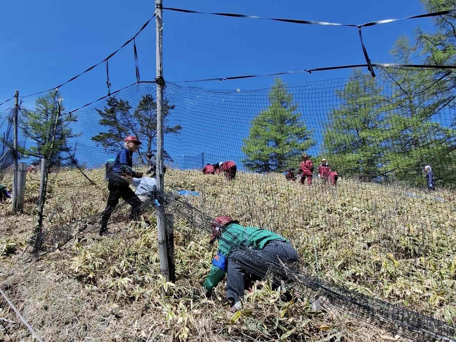 甘利山倶楽部