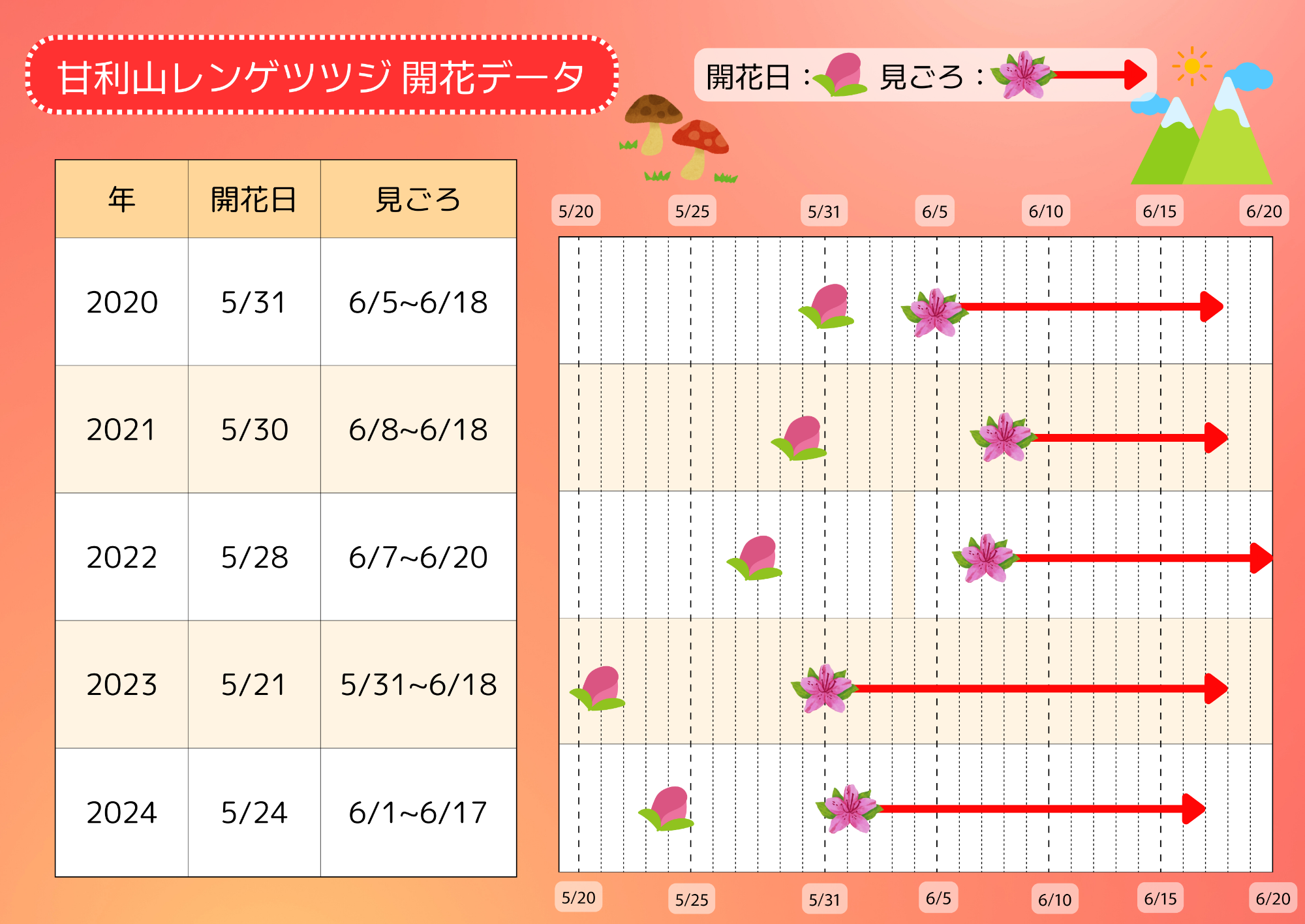 甘利山のレンゲツツジ過去の開花データ