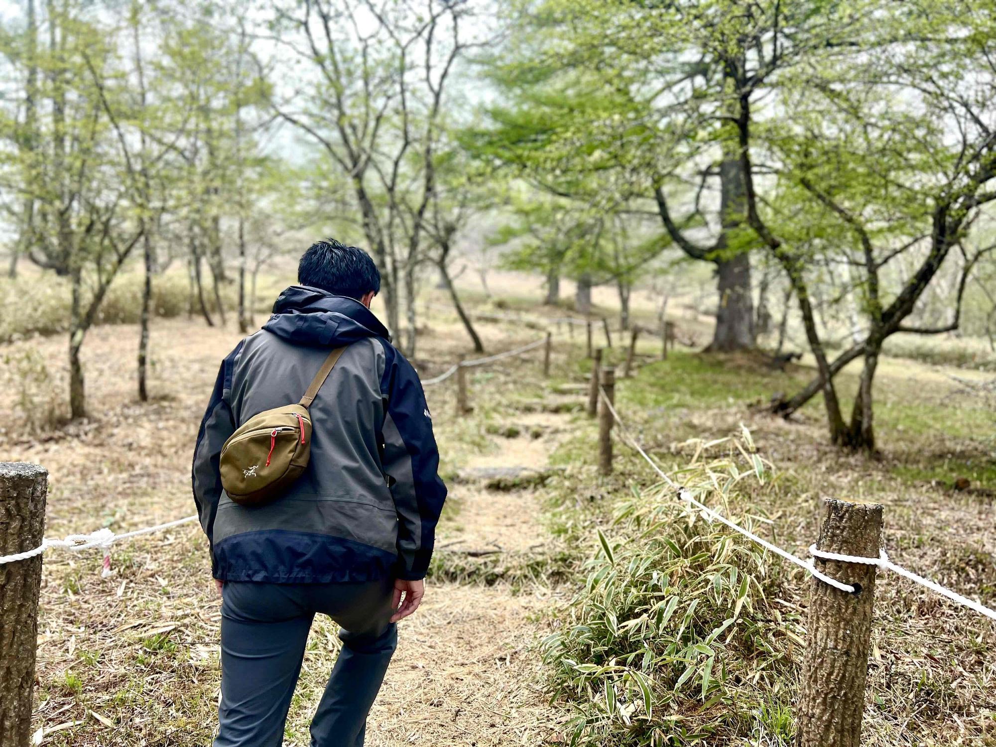 甘利山