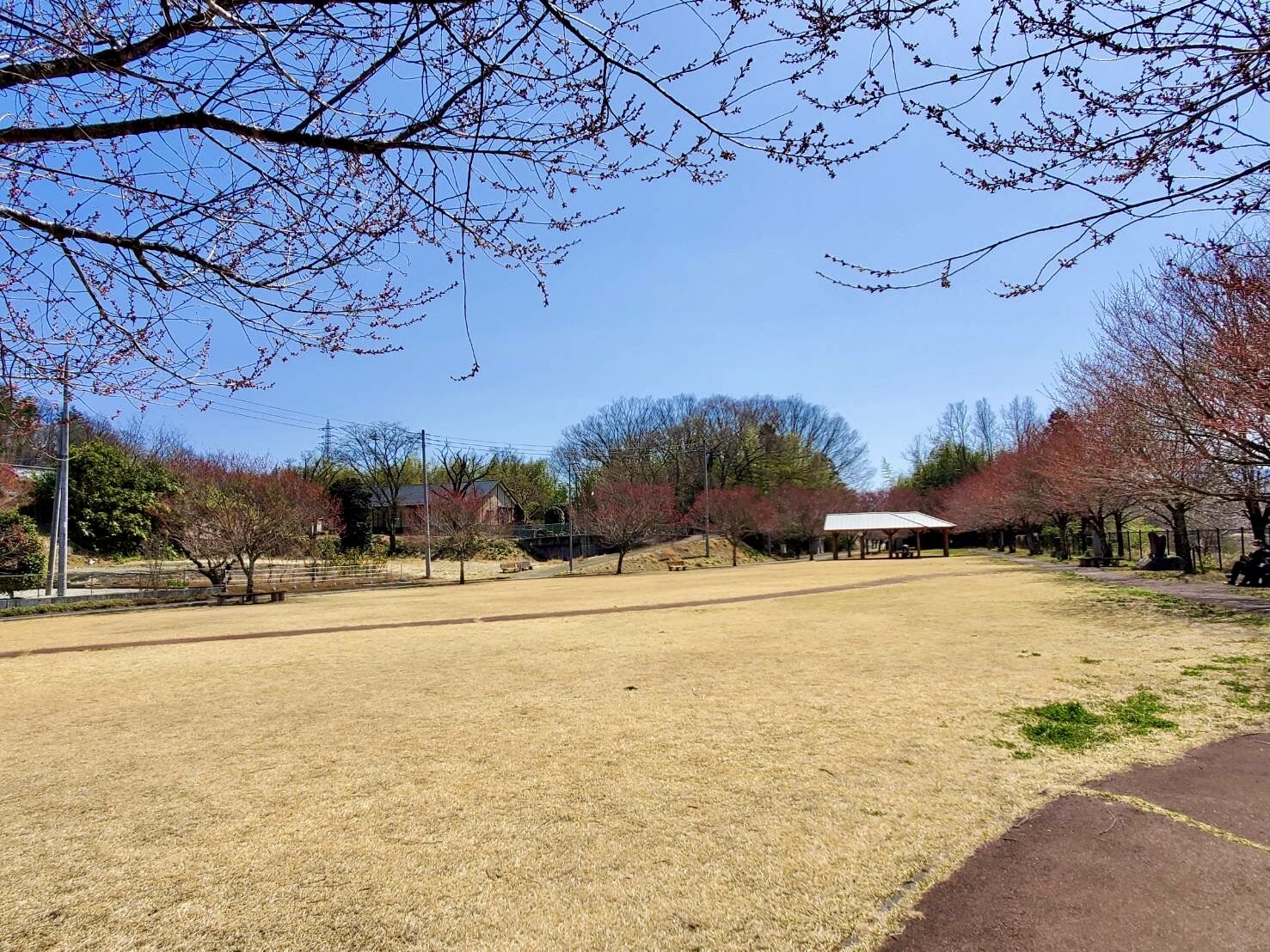 穴山さくら公園0324_1