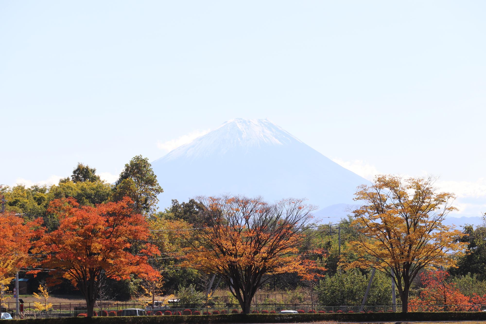 韮崎中央公園の紅葉と富士山