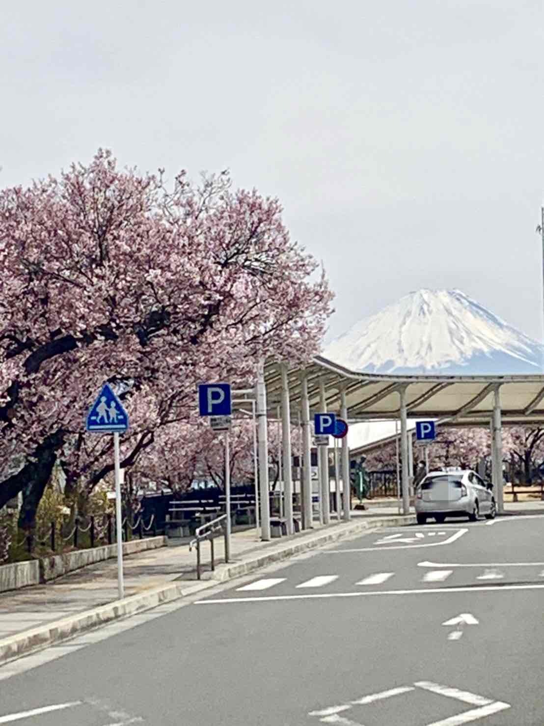 韮崎駅前桜0323