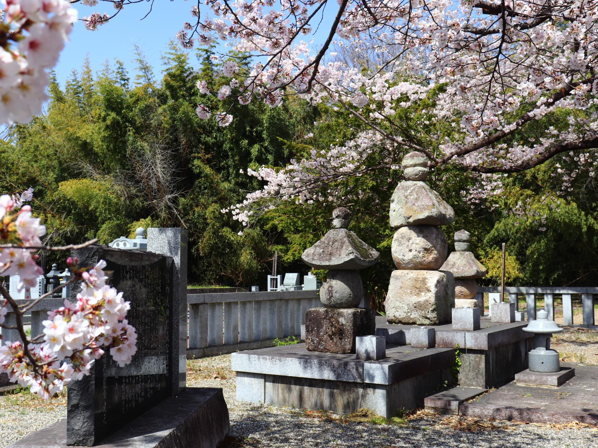 願成寺