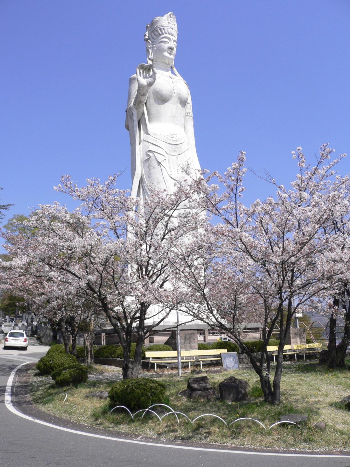 平和観音と桜の咲く公園の様子