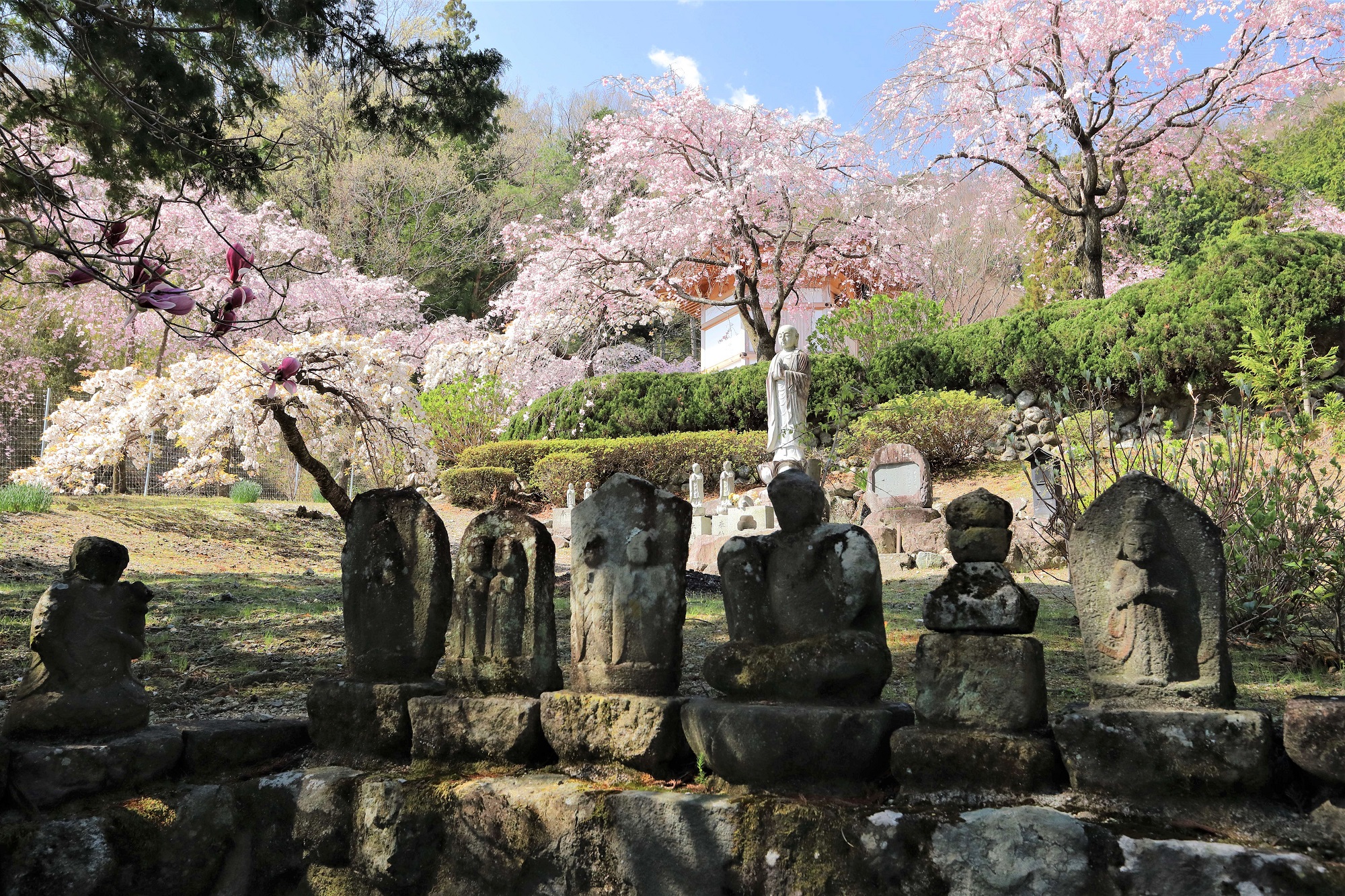 常光寺の庭