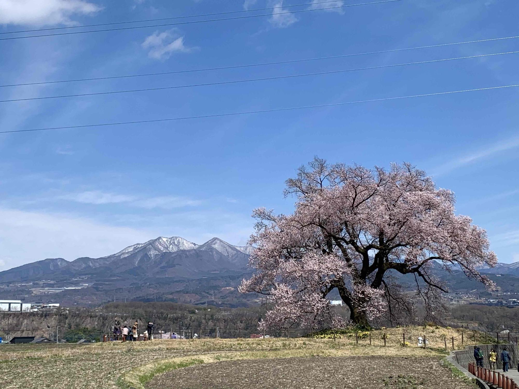 茅ヶ岳