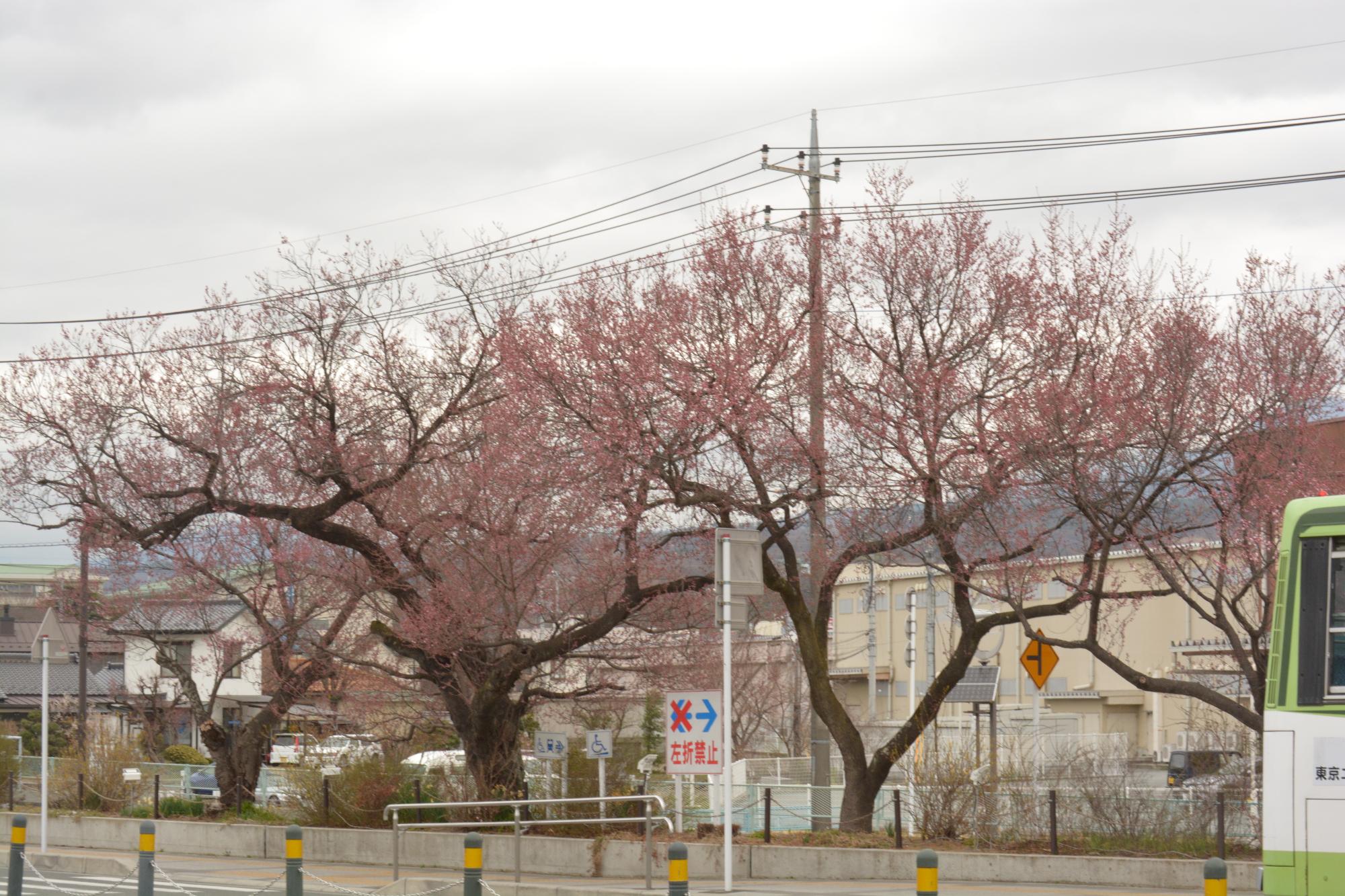 韮崎駅前0318_2