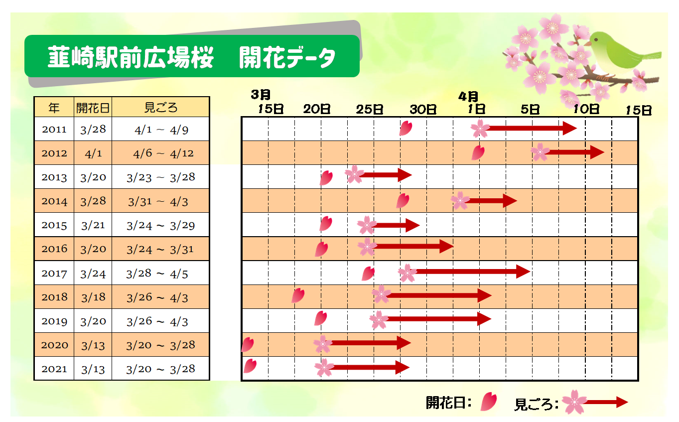 韮崎駅前広場開花データ