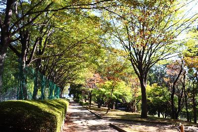 韮崎中央公園