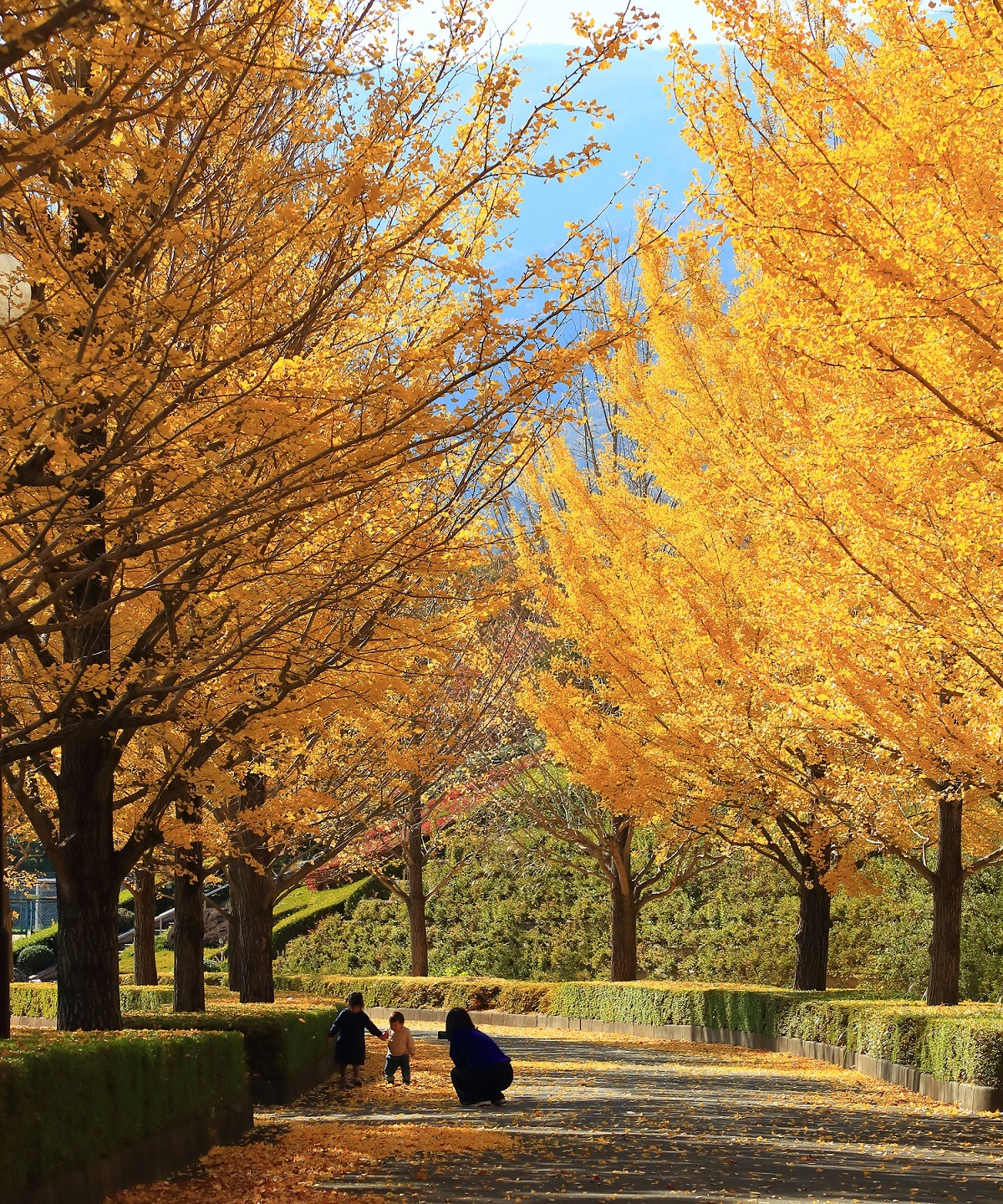 韮崎中央公園