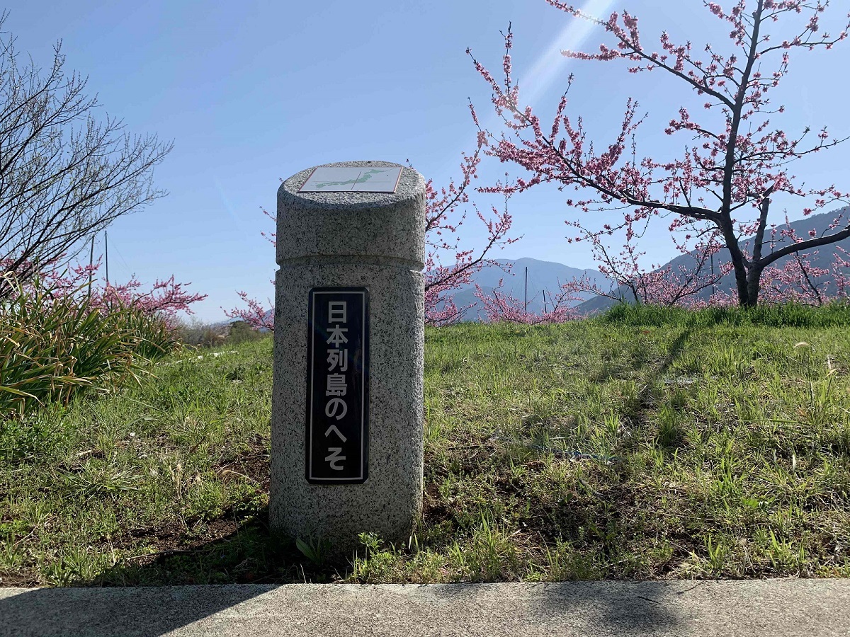 大草町の桃の花