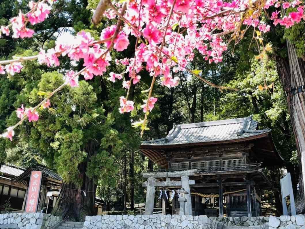 武田八幡宮