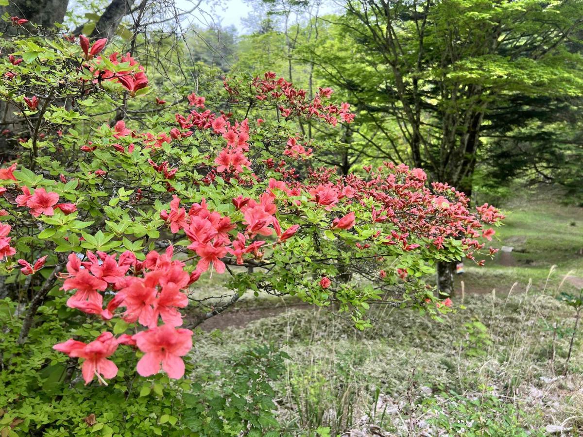 さわら池0520