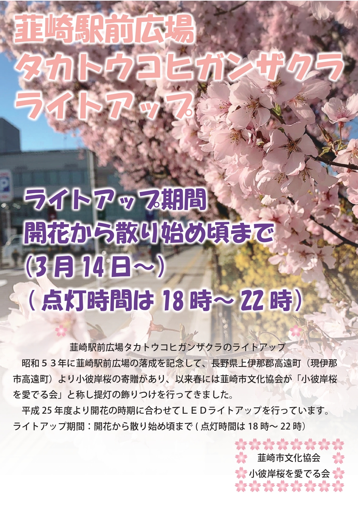 韮崎駅前タカトウコヒガンザクラライトアップ