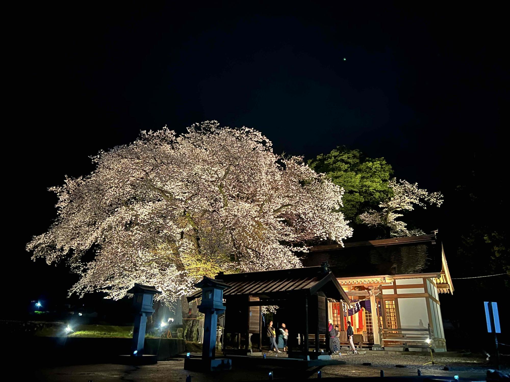 武田廣神社