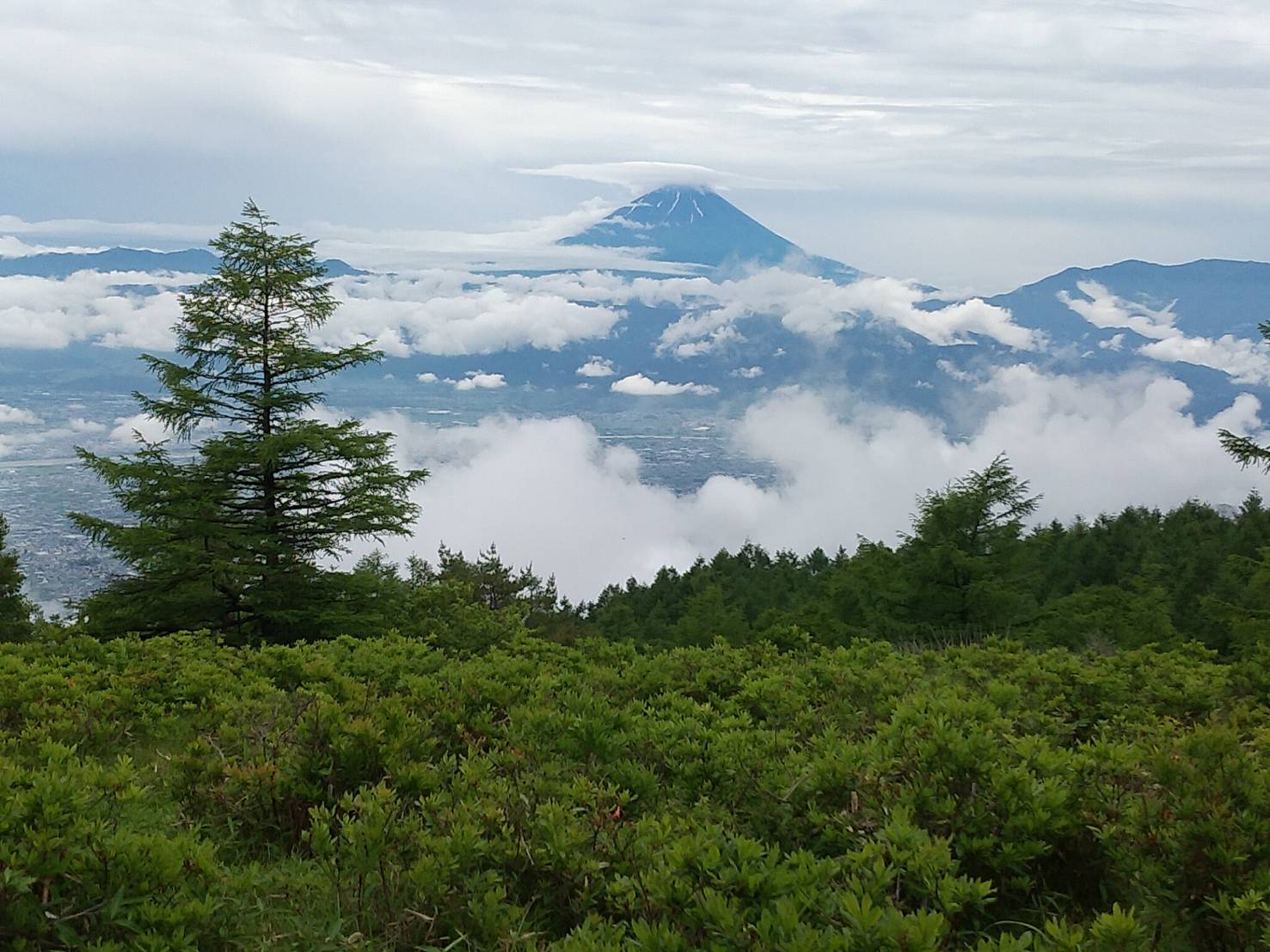 甘利山山頂から望む富士山