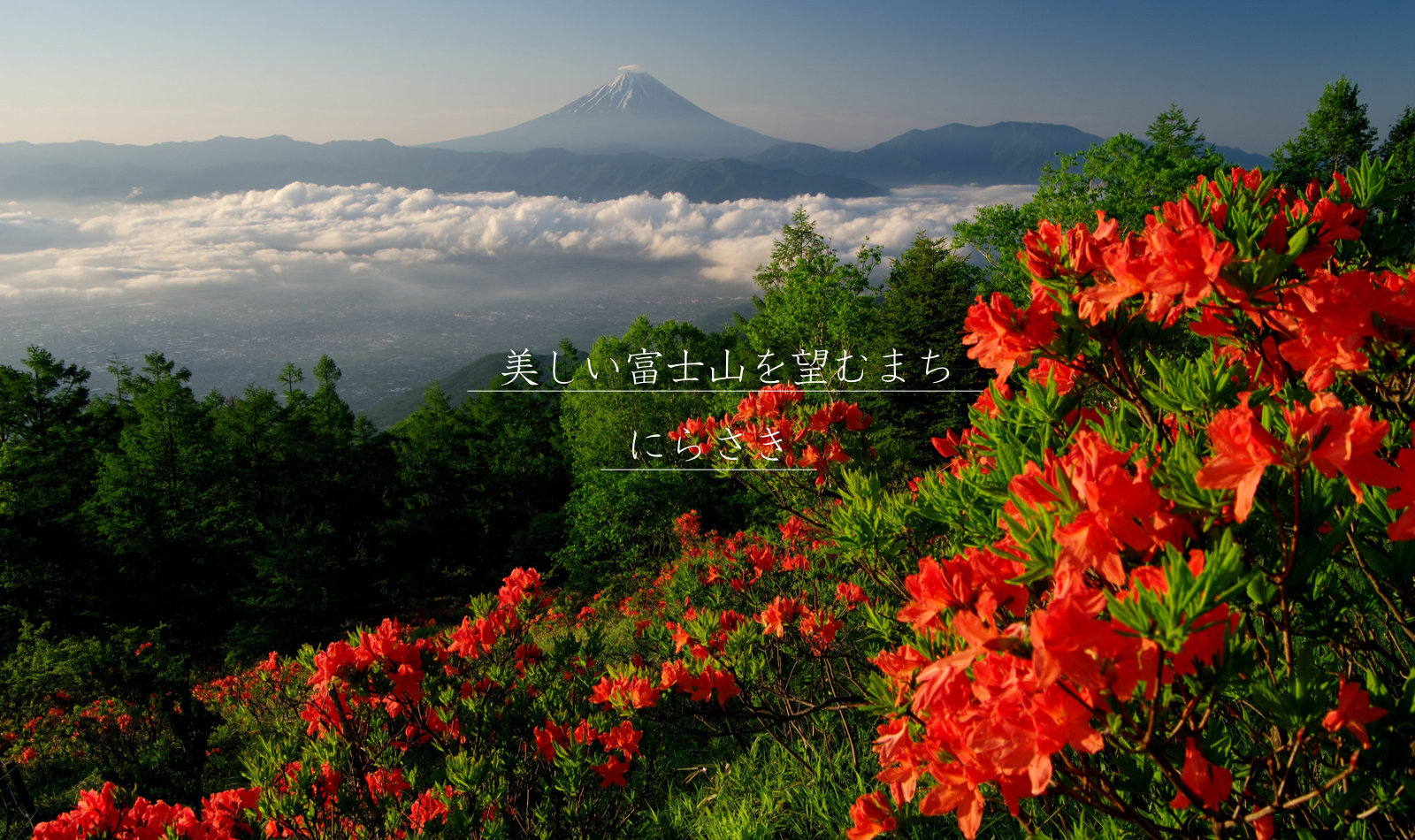 美しい富士山を望むまち