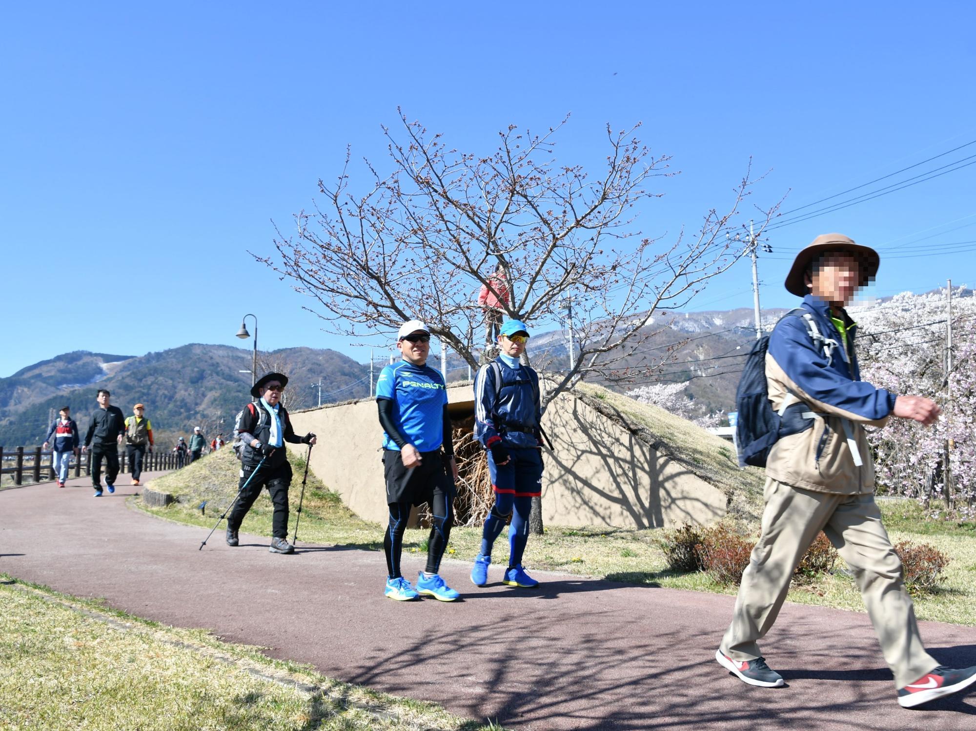 春の幸福の小径を歩く